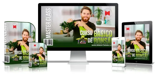 CURSO BÁSICO DE BONSÁI